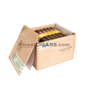 Partagas Shorts
