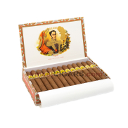 Bolivar Belicosos Finos