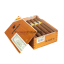 Cohiba Siglo VI (10 cigars)