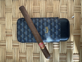Partagas 898 Varnished