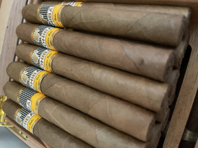 Cohiba Siglo II Tubos 